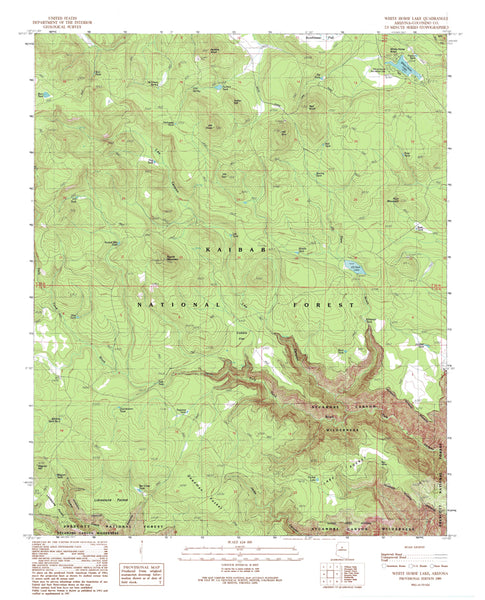 White Horse Lake, Arizona (7.5'×7.5' Topographic Quadrangle) PE 1989