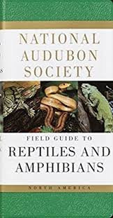 National Audubon Society Field Guide to North American Reptiles and Amphibians (Chanticleer Press Editions) [Imitation Leather] John L. Behler and F. Wayne King