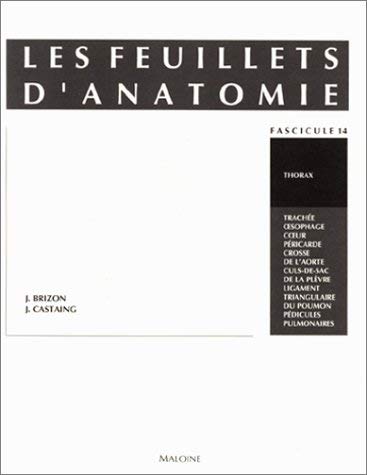 Les feuillets d'anatomie. Thorax [Paperback]