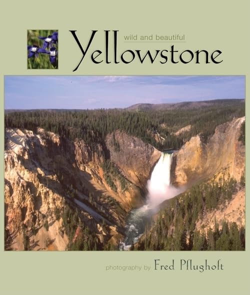 Yellowstone Wild and Beautiful [Hardcover] photography by Fred Pflugholt