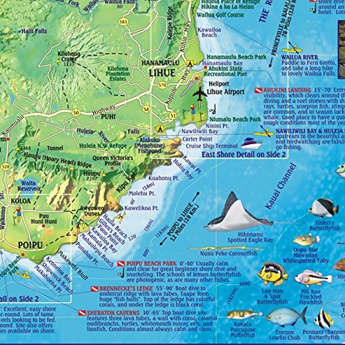 Kauai Hawaii Dive & Snorkeling Guide Map Laminated Placemat - Wide World Maps & MORE!