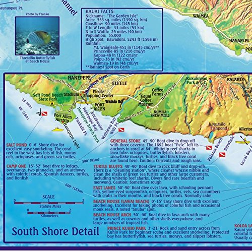 Kauai Hawaii Dive & Snorkeling Guide Map Laminated Placemat - Wide World Maps & MORE!