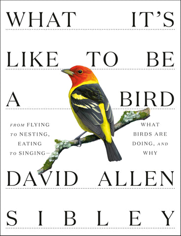 What It's Like to Be a Bird: From Flying to Nesting, Eating to Singing--What Birds Are Doing, and Why (Sibley Guides) [Hardcover] Sibley, David Allen