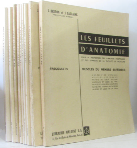 Les feuillets d'anatomie. Muscles du membre sup?rieur [Paperback]