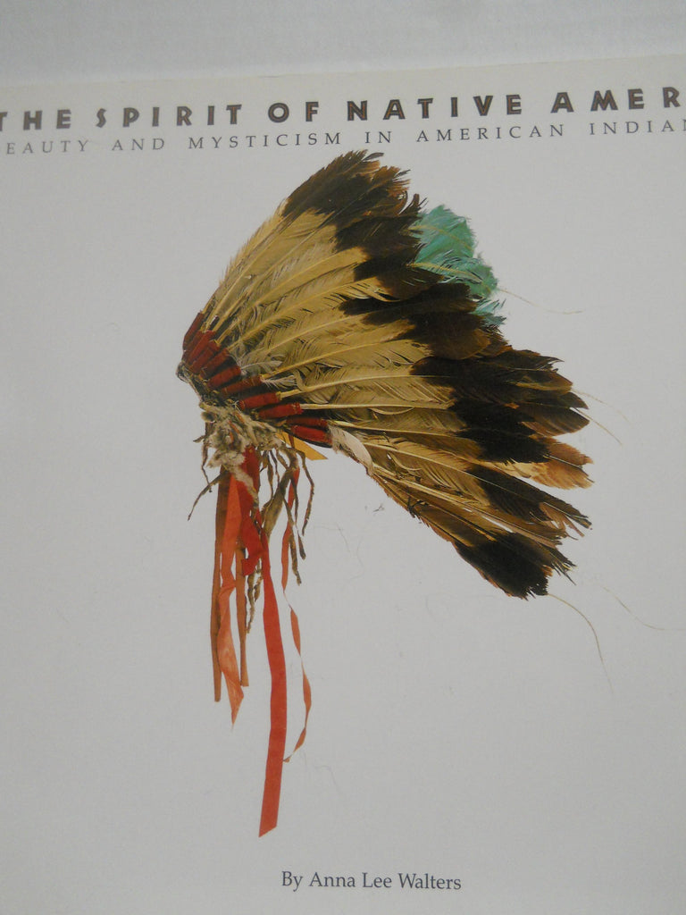 The Spirit of Native America: Beauty and Mysticism in American Indian Art - Wide World Maps & MORE!