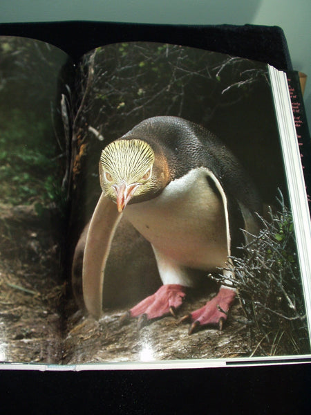 Audubon Book of Water Birds First edition by Line, Les (1998) Hardcover Line, Les