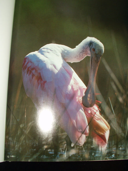 Audubon Book of Water Birds First edition by Line, Les (1998) Hardcover Line, Les