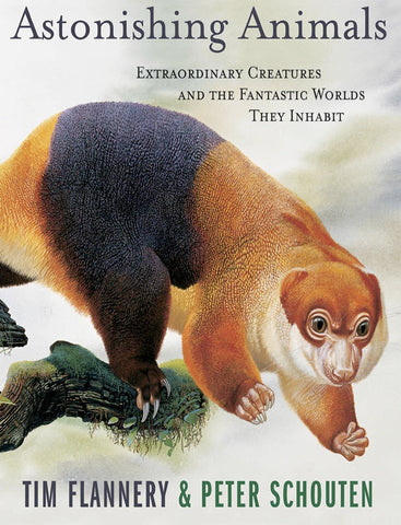 Astonishing Animals: Extraordinary Creatures and the Fantastic Worlds They Inhabit [Hardcover] Flannery, Tim and Schouten, Peter