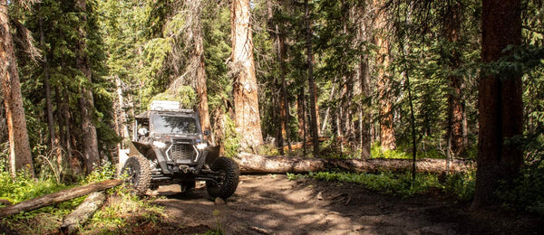 Off-Highway Map for Taylor Park, Crested Butte Colorado [Map] FunTreks Guidebooks and Matt Peterson - Wide World Maps & MORE!