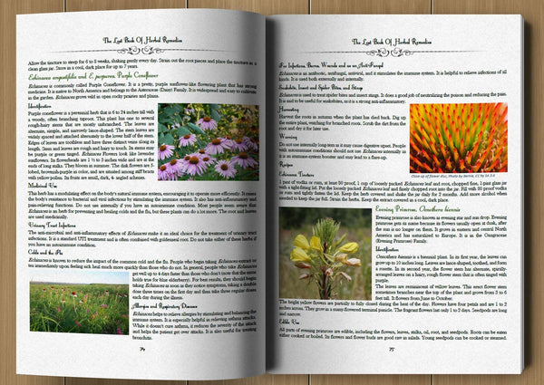 The Lost Book of Herbal Remedies Claude Davis and Nicole Apelian