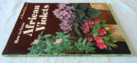 How to Grow African Violets (A Sunset Book) Sunset