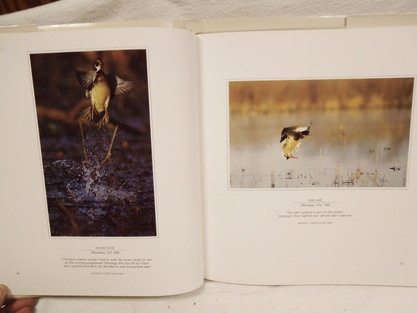 Whistling Wings: The Beauty of Ducks in Flight Kirkpatrick, Stephen