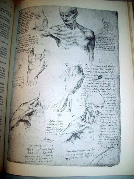 Leonardo da Vinci on the Human Body: The Anatomical, Physiological, and Embryological Drawings of Leonardo da Vinci Charles Donald  O'Malley; John B. Saunders; Cusance Morant Saunders and Leonardo DaVinci