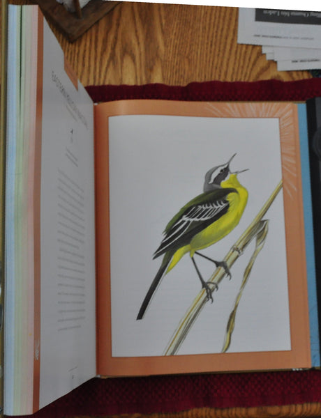 Bird Songs: 250 North American Birds in Song Les Beletsky and Jon L. Dunn