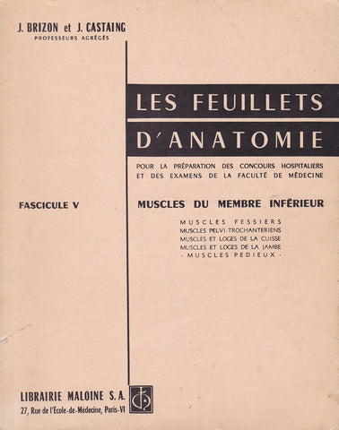 Les feuillets d'anatomie. Muscles du membre inf?rieur [Paperback]