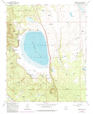 Mormon Lake 7.5' 1965 PR 1974 - Wide World Maps & MORE!