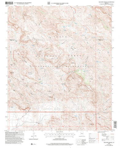 Weavers Needle, AZ (7.5'×7.5' Topographic Quadrangle) - Wide World Maps & MORE!