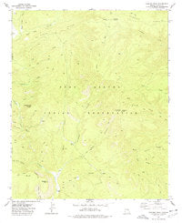 Chediski Peak, Arizona (7.5'×7.5' Topographic Quadrangle) - Wide World Maps & MORE!