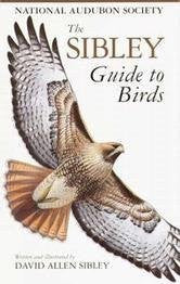 The Sibley Guide to Birds - Wide World Maps & MORE! - Book - Random - Wide World Maps & MORE!