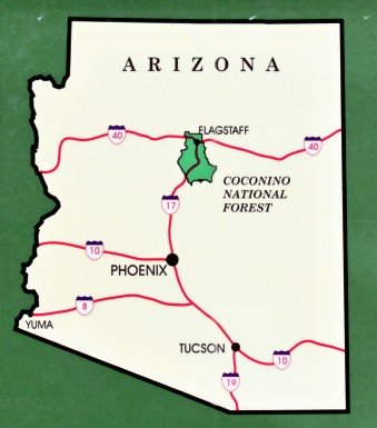 2006 Coconino National Forest Map - Waterproof [Used - Like New] - Wide World Maps & MORE! - Map - United States Department of Agriculture - Wide World Maps & MORE!