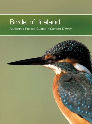 Birds of Ireland - Pocket Guides - Wide World Maps & MORE! - Book - Wide World Maps & MORE! - Wide World Maps & MORE!