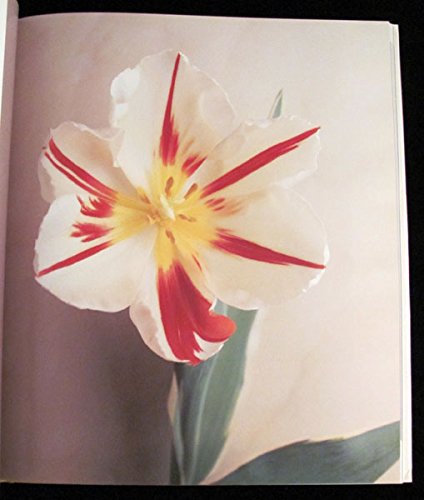 Tulipa: A Photographer's Botanical Lemmers, Willem; Sweeney, Emma; Pollan, Michael and Baker, Christopher - Wide World Maps & MORE!