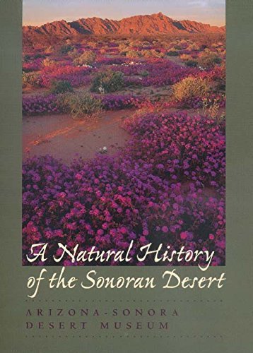 A Natural History of the Sonoran Desert - Wide World Maps & MORE! - Book - Wide World Maps & MORE! - Wide World Maps & MORE!