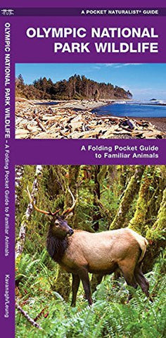 Olympic National Park Wildlife: A Folding Pocket Guide to Familiar Species (Pocket Naturalist Guide Series) (A Pocket Naturalist Guide) - Wide World Maps & MORE! - Book - Wide World Maps & MORE! - Wide World Maps & MORE!
