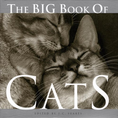 The Big Book of Cats - Wide World Maps & MORE!