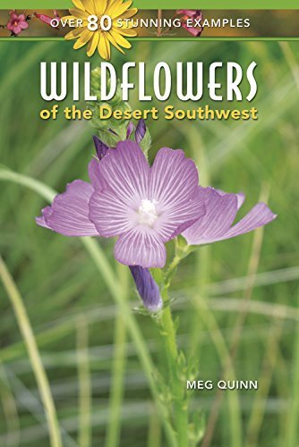 Wildflowers of the Desert Southwest by Meg Quinn (2002-01-04) - Wide World Maps & MORE!