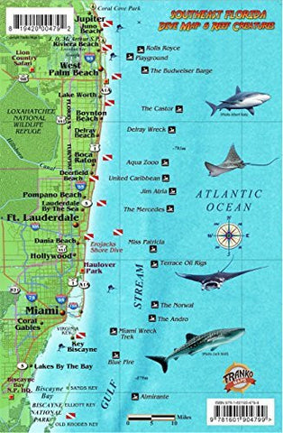 Southeast Florida Dive Map & Coral Reef Creatures Guide Franko Maps Laminated Fish Card - Wide World Maps & MORE! - Book - Wide World Maps & MORE! - Wide World Maps & MORE!