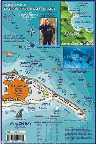 Avalon Underwater Park Fish Card - Wide World Maps & MORE! - Book - Wide World Maps & MORE! - Wide World Maps & MORE!