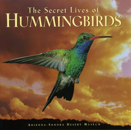 The Secret Lives of Hummingbirds - Wide World Maps & MORE!