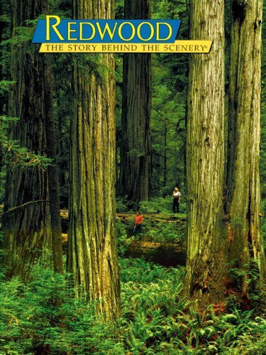 Redwood: The Story Behind the Scenery - Wide World Maps & MORE! - Book - Brand: KC Publications, Inc. - Wide World Maps & MORE!