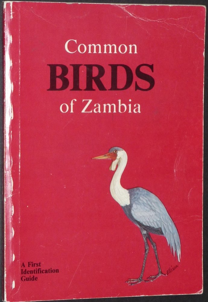 Common Birds of Zambia Gabriel Ellison - Wide World Maps & MORE!