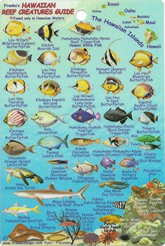 Franko's Hawaiian Islands Mini Fish Card - Wide World Maps & MORE! - Book - FrankosMaps - Wide World Maps & MORE!