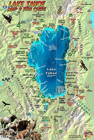 Lake Tahoe Map & Fish Guide Franko Maps Laminated Fish Card - Wide World Maps & MORE! - Book - Wide World Maps & MORE! - Wide World Maps & MORE!