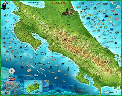 Decorative Costa Rica Wall Map *Laminated* small 22"x27.5" - Wide World Maps & MORE!