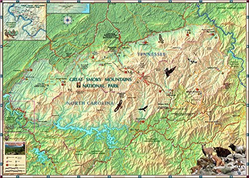 Great Smoky Mountains National Park Laminated Wall Map 36"x50" - Wide World Maps & MORE! - Book - Wide World Maps & MORE! - Wide World Maps & MORE!