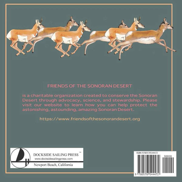 The Astonishing, Astounding, Amazing Sonoran Desert - Wide World Maps & MORE! - Book - Dockside Sailing Press - Wide World Maps & MORE!