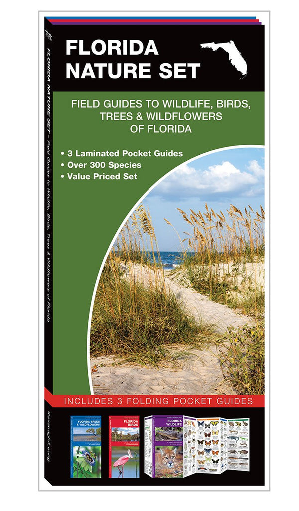 Florida Nature Set: Field Guides to Wildlife, Birds, Trees & Wildflowers of Florida [Pamphlet] Kavanagh, James; Waterford Press and Leung, Raymond - Wide World Maps & MORE!