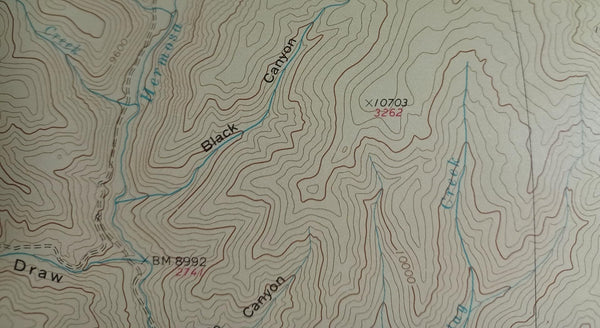 San Juan County Colorado Topographic map (folded) [Map] USGS-Reston - Wide World Maps & MORE!