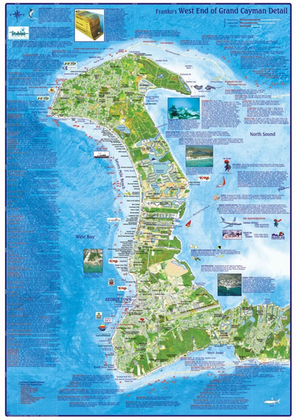 Franko Maps Cayman Islands Dive Creature Guide 18 X 26 Inch - Wide World Maps & MORE!