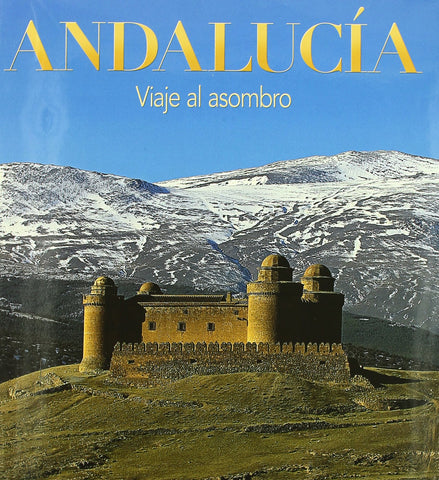 Andaluc?a. Viaje al asombro AA. VV. - Wide World Maps & MORE!