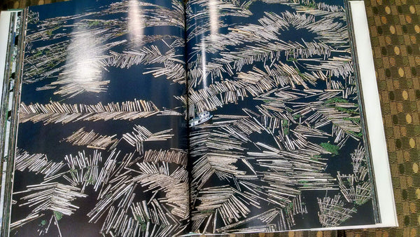 Earth From Above [Hardcover] Arthus-Bertrand, Yann - Wide World Maps & MORE!