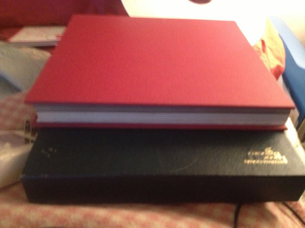 The Viking - Wide World Maps & MORE! - Book - Wide World Maps & MORE! - Wide World Maps & MORE!