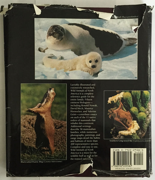 Wild Animals of North America Allen, Thomas B. - Wide World Maps & MORE!