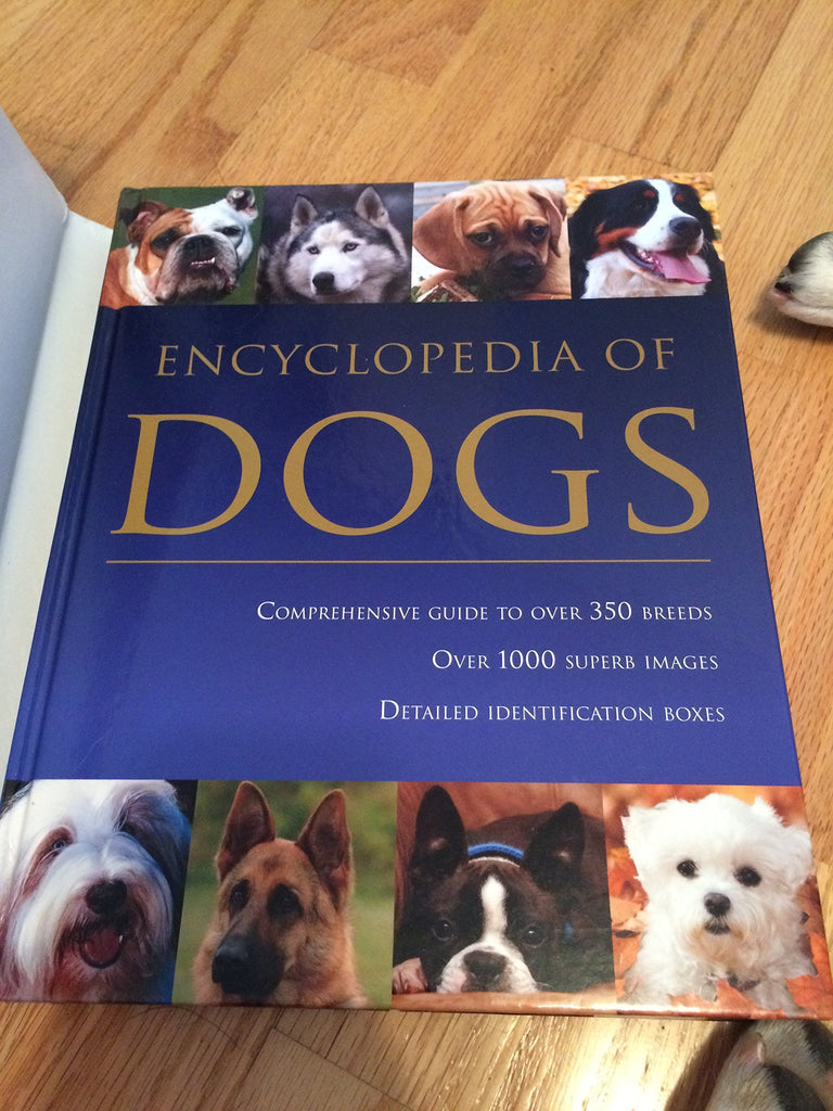 Dog Breeds: A Comprehensive Guide for the First-Time Dog Owner