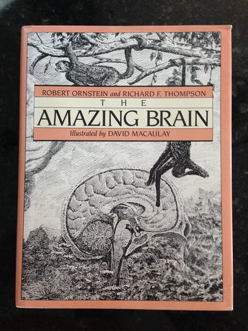 The Amazing Brain Robert E. Ornstein; Richard F. Thompson and David Macauley - Wide World Maps & MORE!